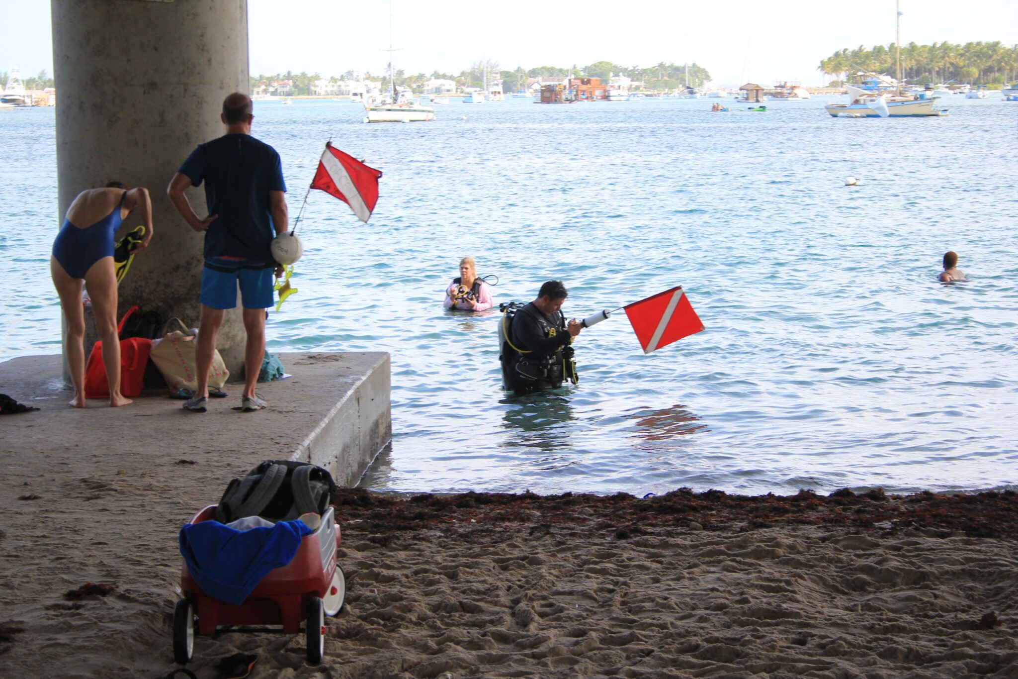 Blue Heron Bridge Tide Tables - Uncle Cal's Dive Club