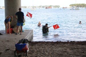 Scuba divers preparing to dive the Blue Heron Bridge