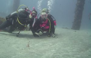 two friends scuba diving