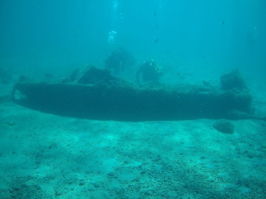 A New Scuba Diver's Guide to Diving the Blue Heron Bridge