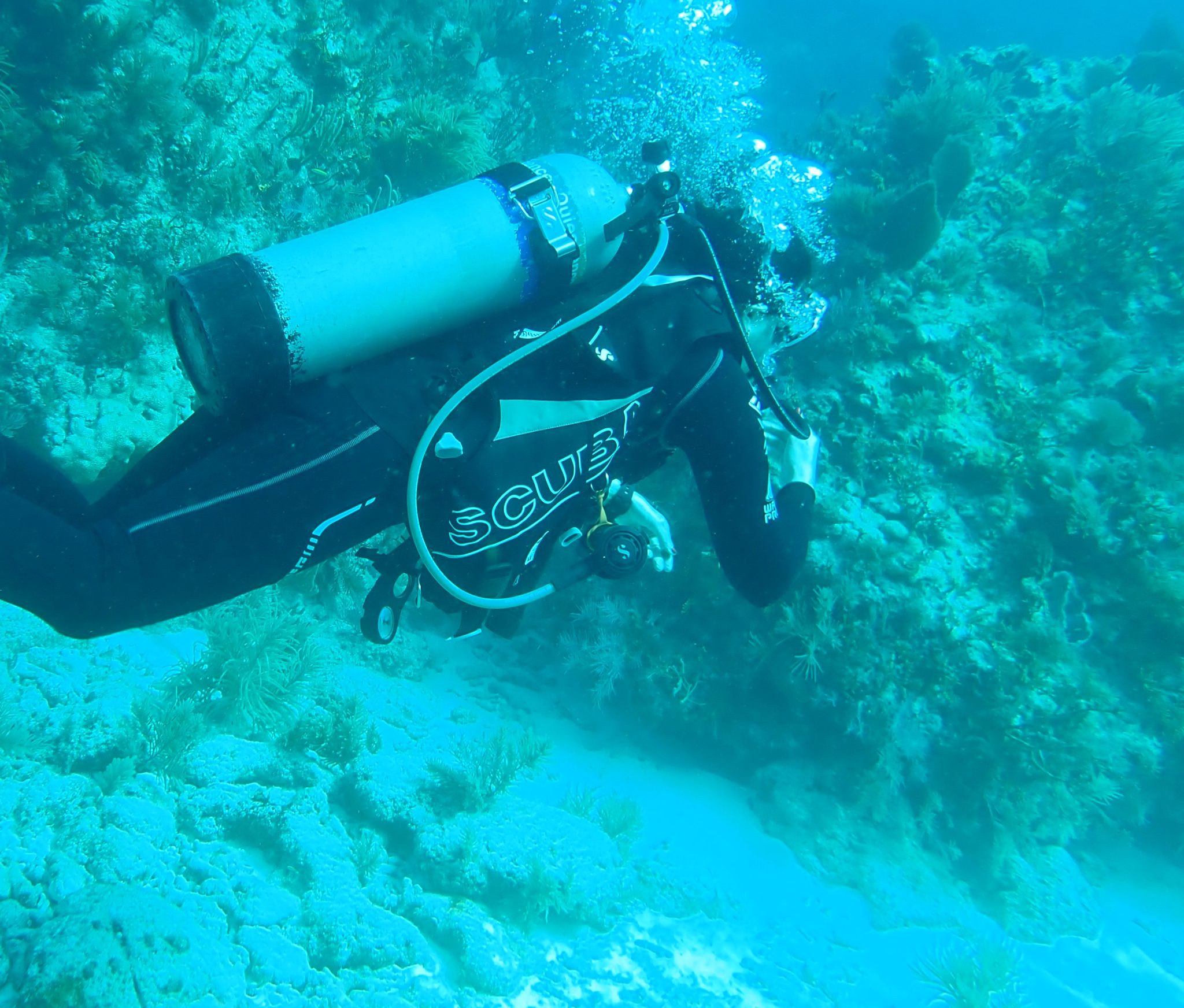 Mastering Buoyancy Tips for Improving Your Scuba Diving Skills