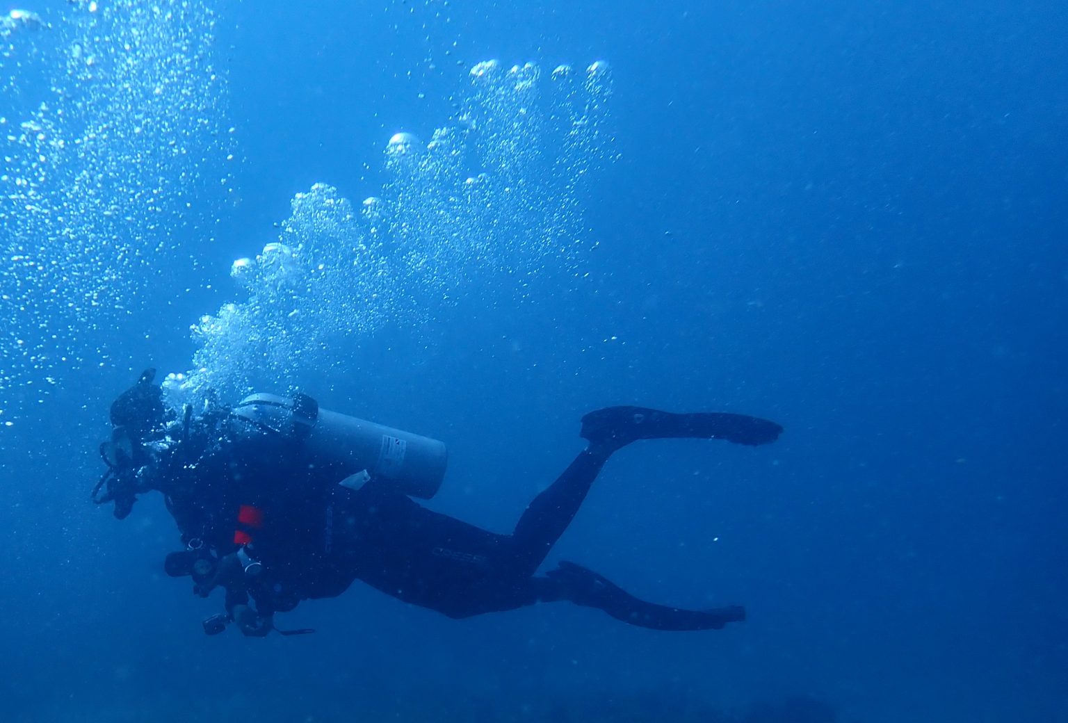 Beginner Scuba Diving Depth Limits: What You Need to Know