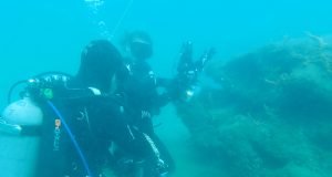 Underwater Photography Tips